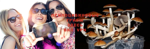 стафф Алексеевка
