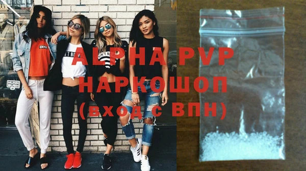 амф Снежногорск
