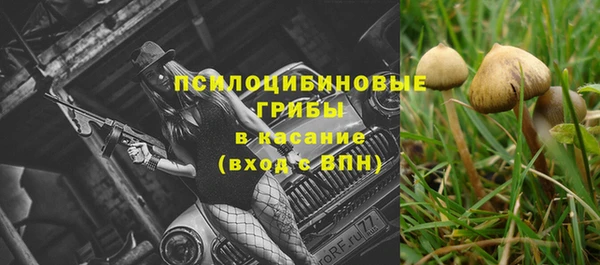 стафф Алексеевка