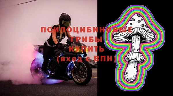 стафф Алексеевка