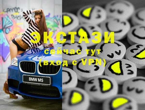 амф Снежногорск