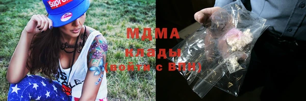 амф Снежногорск