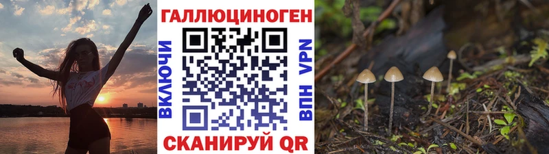 Галлюциногенные грибы мухоморы  Буй 